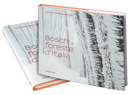 Boschi e foreste